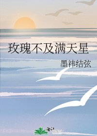玫瑰不及满天星