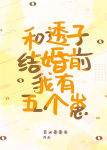 (綜漫同人)和透子結婚前我有五個崽